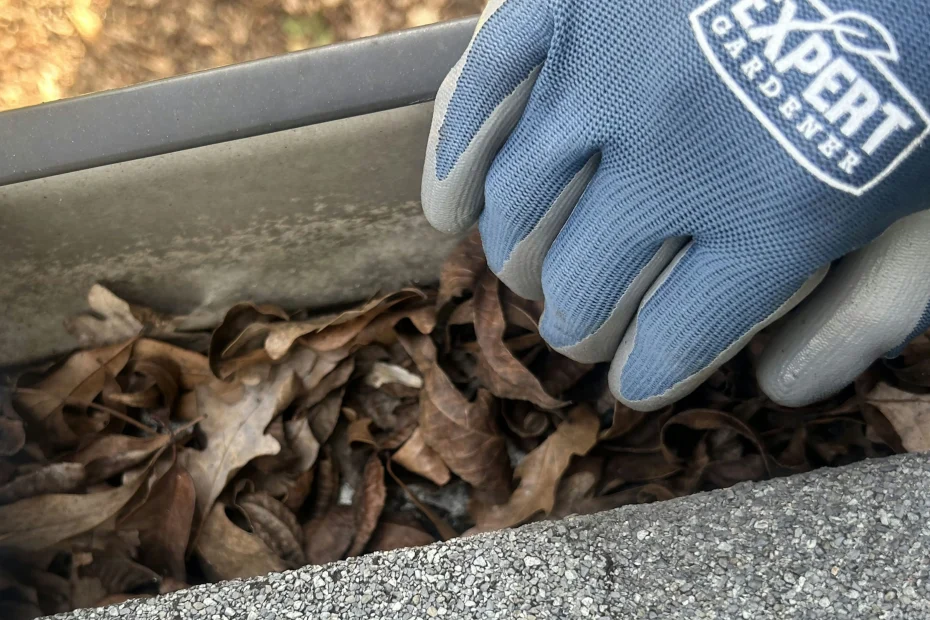 Gutter Cleaning Turley